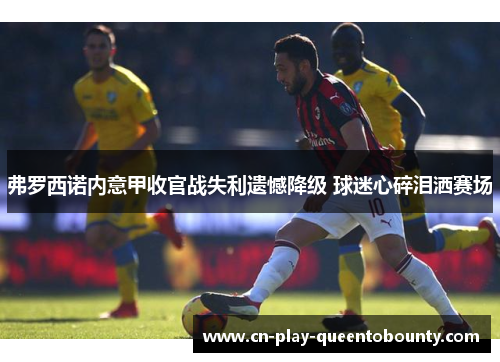 弗罗西诺内意甲收官战失利遗憾降级 球迷心碎泪洒赛场